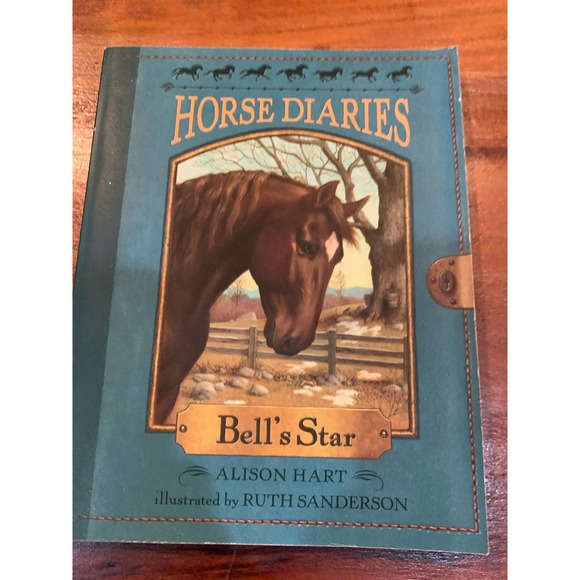 Lot of 6 Horse Books for young adult reader - Picture 10 of 14